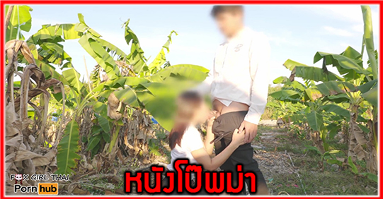 แอบเย็ด เลียหี เย็ดสาวไทยนมใหญ่ เย็ด นมใหญ่xxx คลิปโป๊ไทย คลิปเสียว