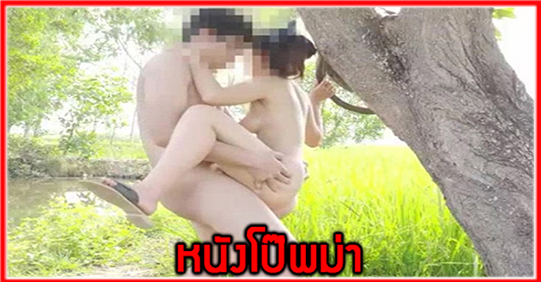 หนังโป๊ไทย หนังโป๊ล่าสุด หนังโป๊มาใหม่ล่าสุด หนังโป๊คลิปหลุด หนังโป๊XX ดูหนังโป๊ คลิปหลุดไทย