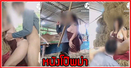 โม๊กควย แอบเย็ด แตกใน แตกนอก เสียวหี เลียหี เย็ดเด็ด